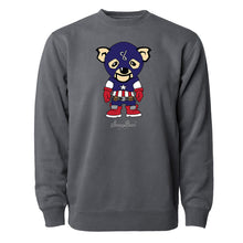 Load image into Gallery viewer, Sleepy America Bear