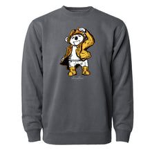 Load image into Gallery viewer, Sleepy Weather Bear